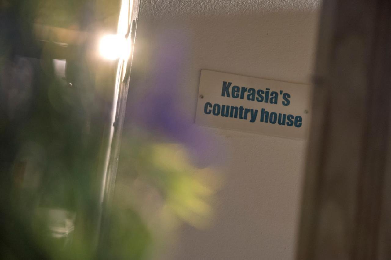 Apartamento Kerasia'S Country House Volos Exterior foto